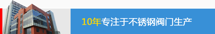 閥門制造行業領導者